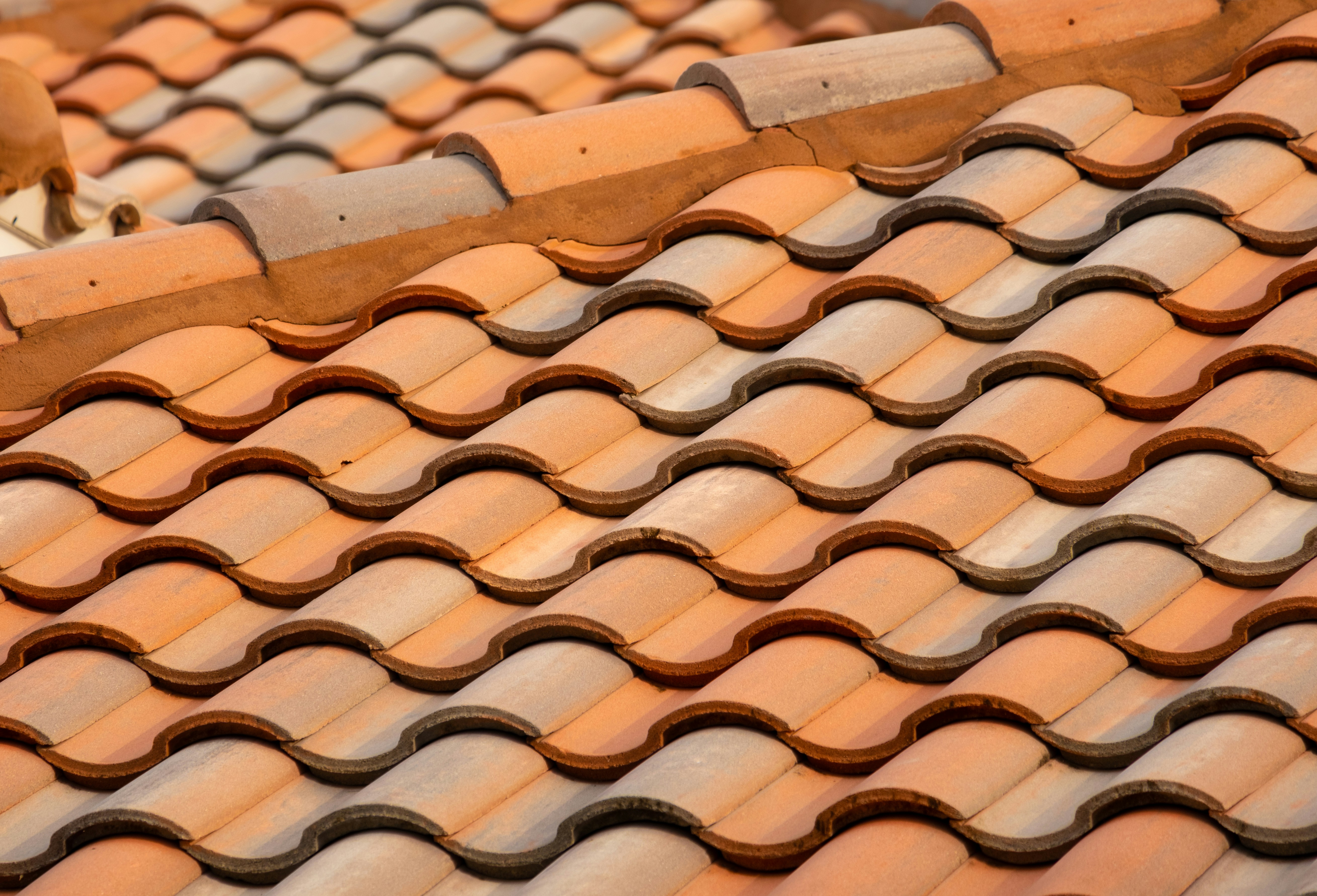 Shingle Roof Replacement